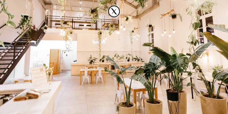 Góc trang trí độc đáo với ánh sáng tự nhiên, cây xanh hoặc các tác phẩm nghệ thuật trang trí